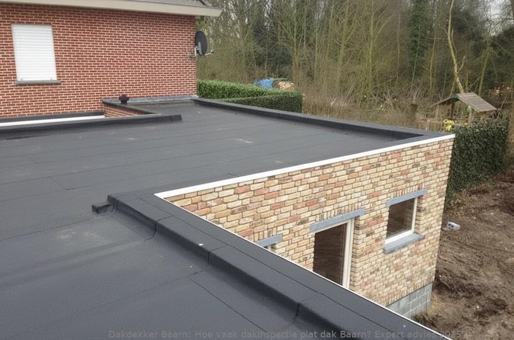 Dakinspectie Plat Dak Baarn