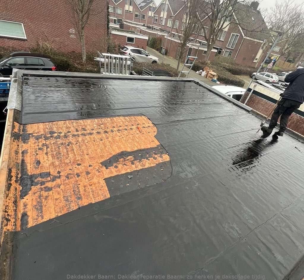 Dakleer Reparatie Baarn