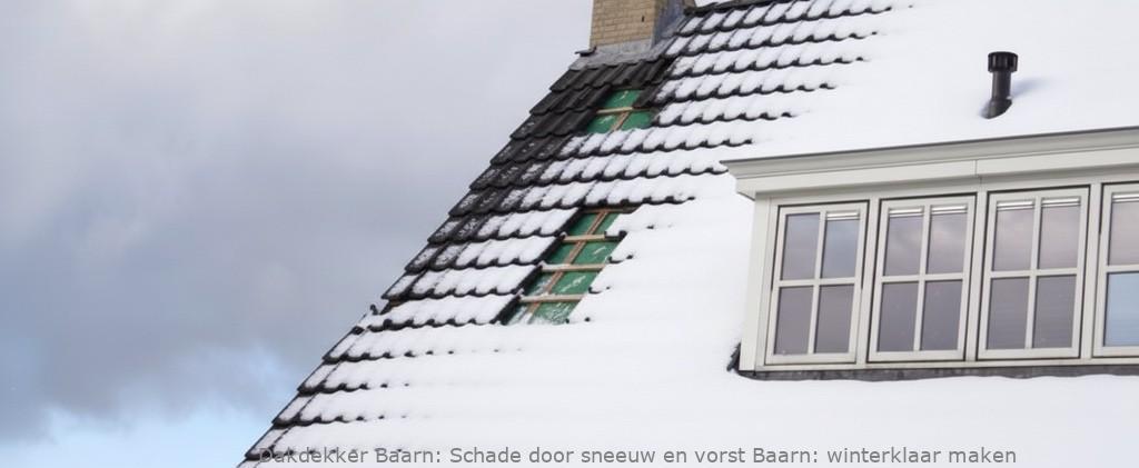 Schade Door Sneeuw En Vorst Baarn